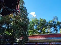 -香山公园