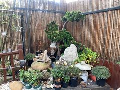 -花亭(仲盛世界商城店)