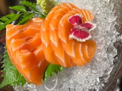 -鸟屯(三里屯店)