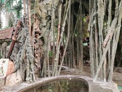 -龙达温泉生态城