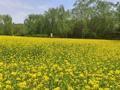 -北坞公园