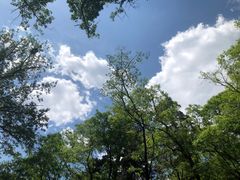 -北京上方山国家森林公园