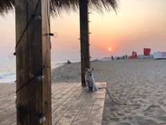 -老虎石海上公园