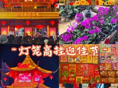 -越秀西湖花市(广州城市广场花卉店)