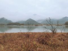 -大九湖