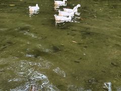 -广州雕塑公园