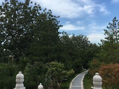 -西海子公园