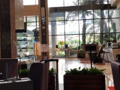 -碧桂园空港凤凰酒店(广州新白云机场店)
