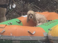 -安吉龙王山峡谷漂流