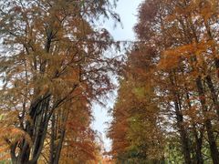 -狼山风景名胜区