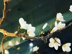 -梧桐树下(云锦世家店)
