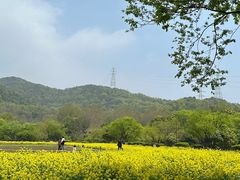 -八卦田遗址公园