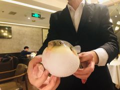 -肆月河豚·新淮扬(金融街店)