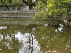 -阿育王寺