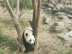 -武汉动物园
