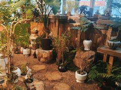 -双季花艺园艺市场(浦东店)