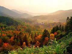 -塔川景区