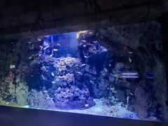 -哈尔滨波塞冬海底世界