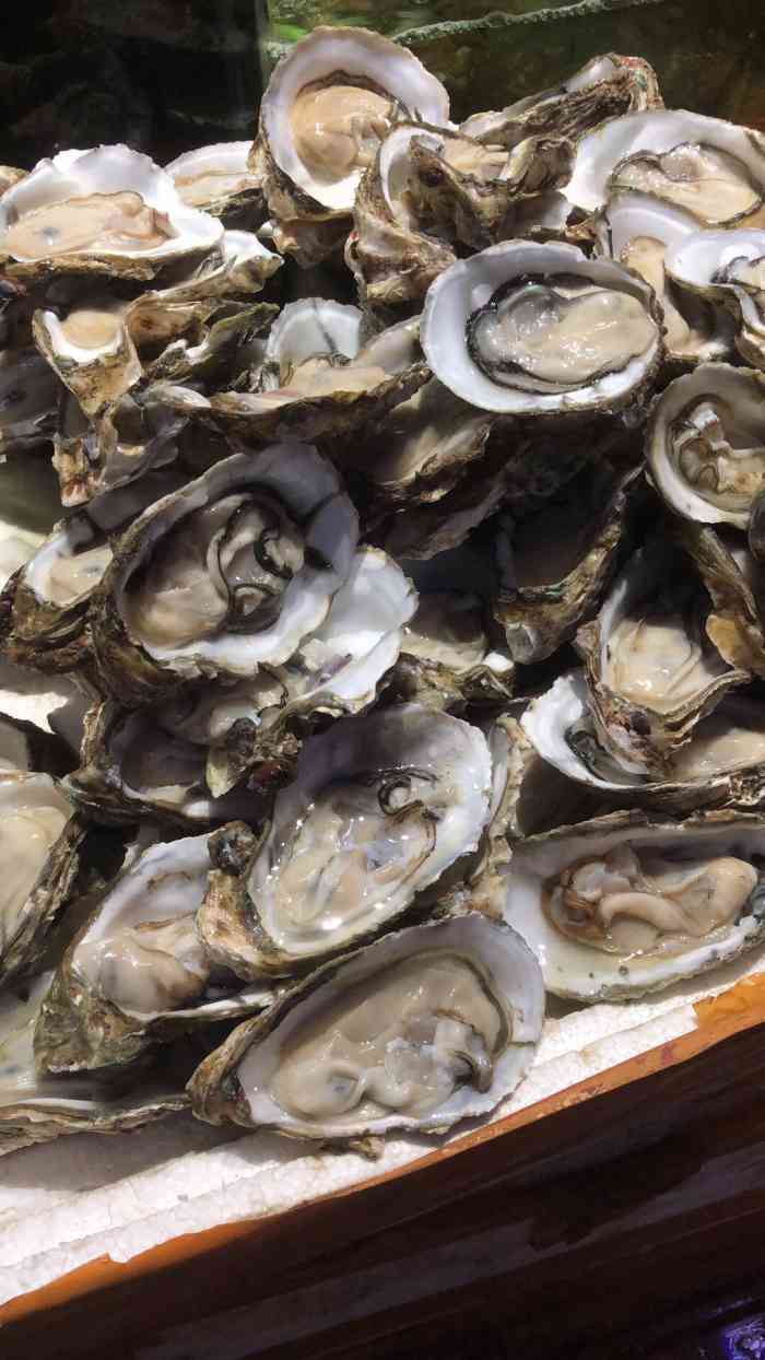 北海蚝王-"不知道哪家海鲜好吃,看到点评上有人推荐这.