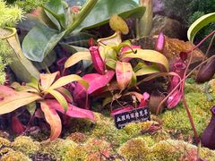 -中国科学院西双版纳热带植物园