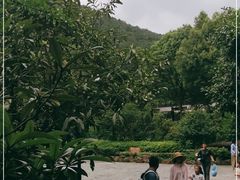 -九龙潭景区