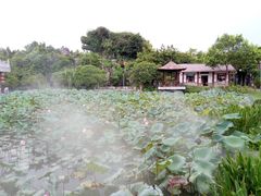 -惠州西湖丰渚园