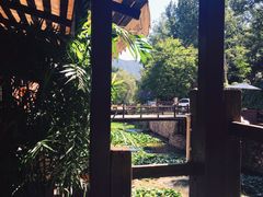 -Local泰莲庭(虹鳟鱼店)