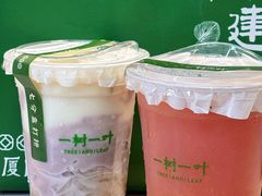 -一树一叶·福建茶档(石鼓路店)