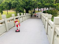 -四海公园(南山区)