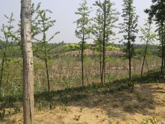 -东郊湿地公园