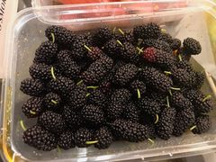 桑葚-老炳·七丛松甘草水果