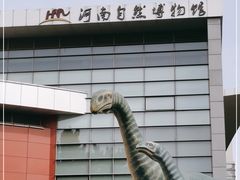-河南自然博物馆