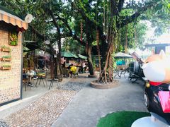 -柴犬高等学院·狗咖·柴犬售卖·宠物训练