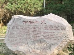 -延安杨家岭革命旧址