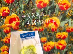 -苏州上方山国家森林公园