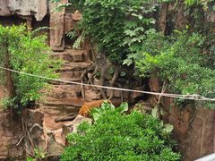 -长鹿旅游休博园