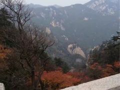 -尧山风景区