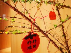-代数学家algebraist(苏州中心店)