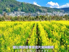 -和顺古镇