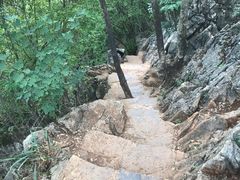 -普者黑风景区-青龙山