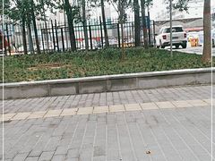 -秦美花卉(天朗·莱茵小城2期店)