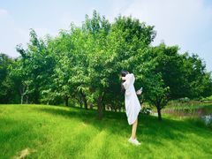 -安德鲁户外烧烤帐篷营地(马泉营店)