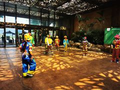 -杭州开元森泊度假乐园