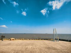 -上海滨江森林公园