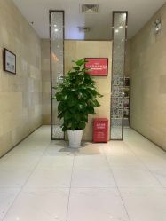 -银座Calla日式美容沙龙