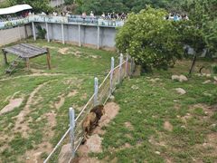 -西霞口神雕山野生动物世界