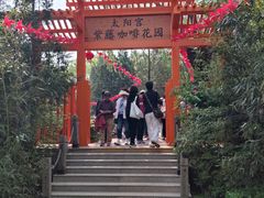 -太阳宫公园