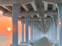 -宝安西湾红树林湿地公园