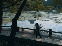 -荔湾湖公园