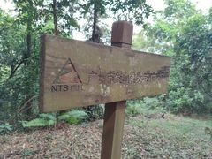 -广州市帽峰山景区